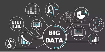嵐府品牌深度解析 實(shí)體門店生存現(xiàn)狀分析與技術(shù)驅(qū)動(dòng)下的破局之道